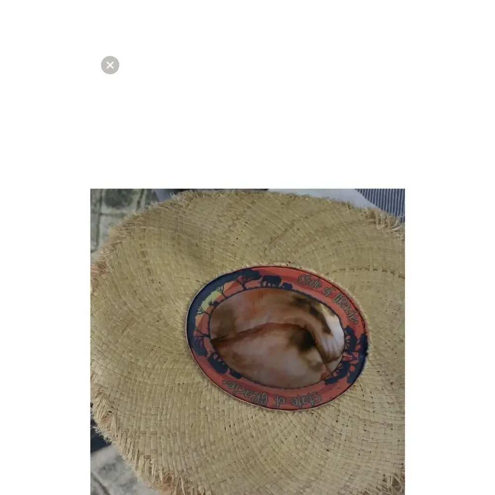 HAT FEDORA WIDE BRIM RAFFIA STRAW HAT